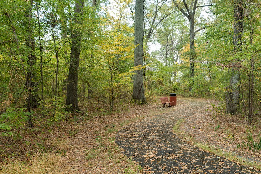 Cannon Branch Fort