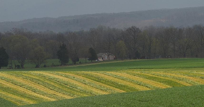 Cross Keys Battlefield