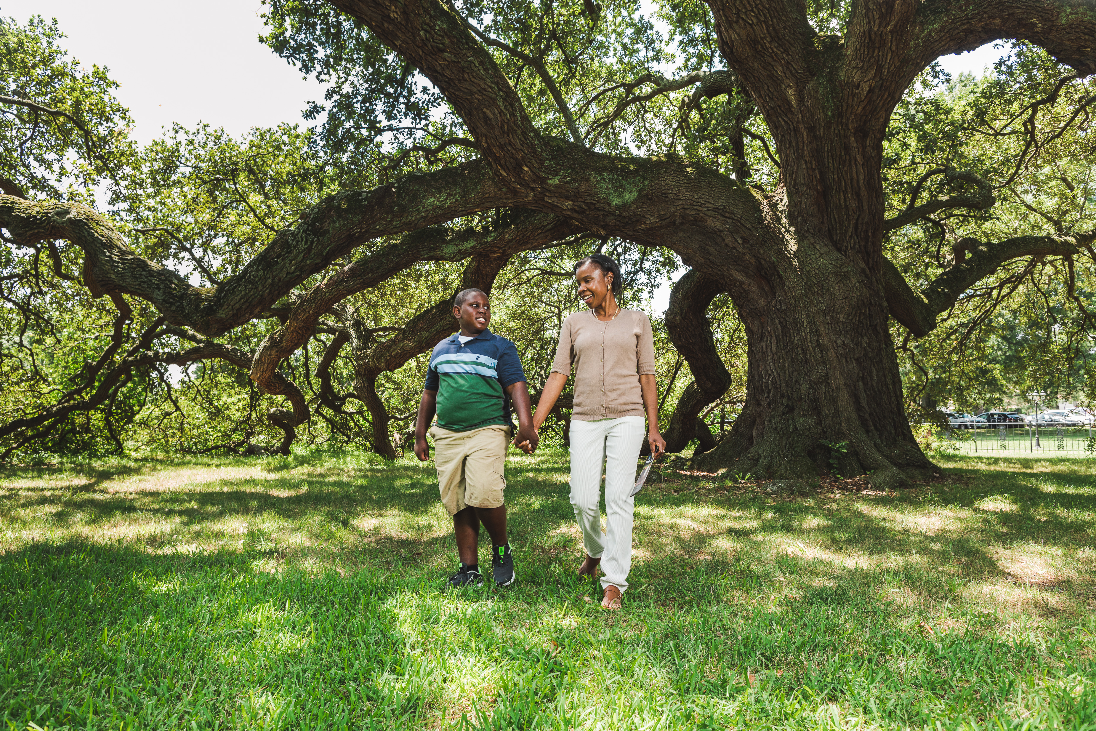 Emancipation Oak