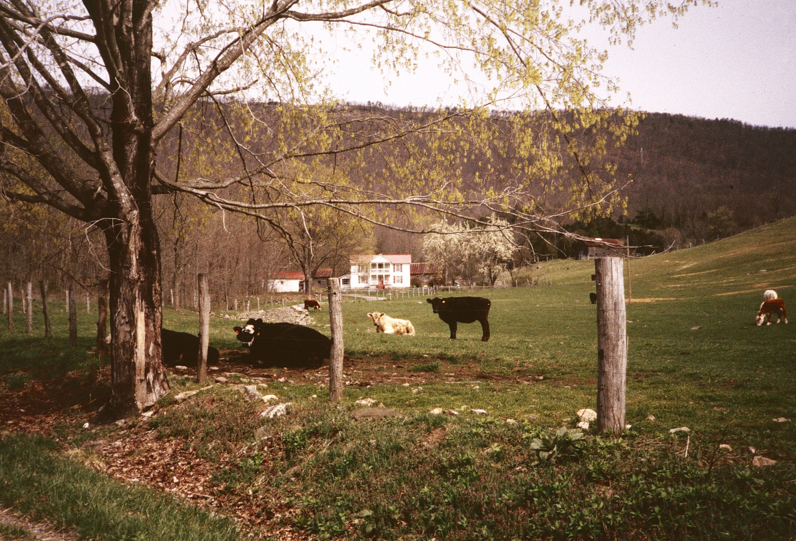 Greater Newport Rural Historic District