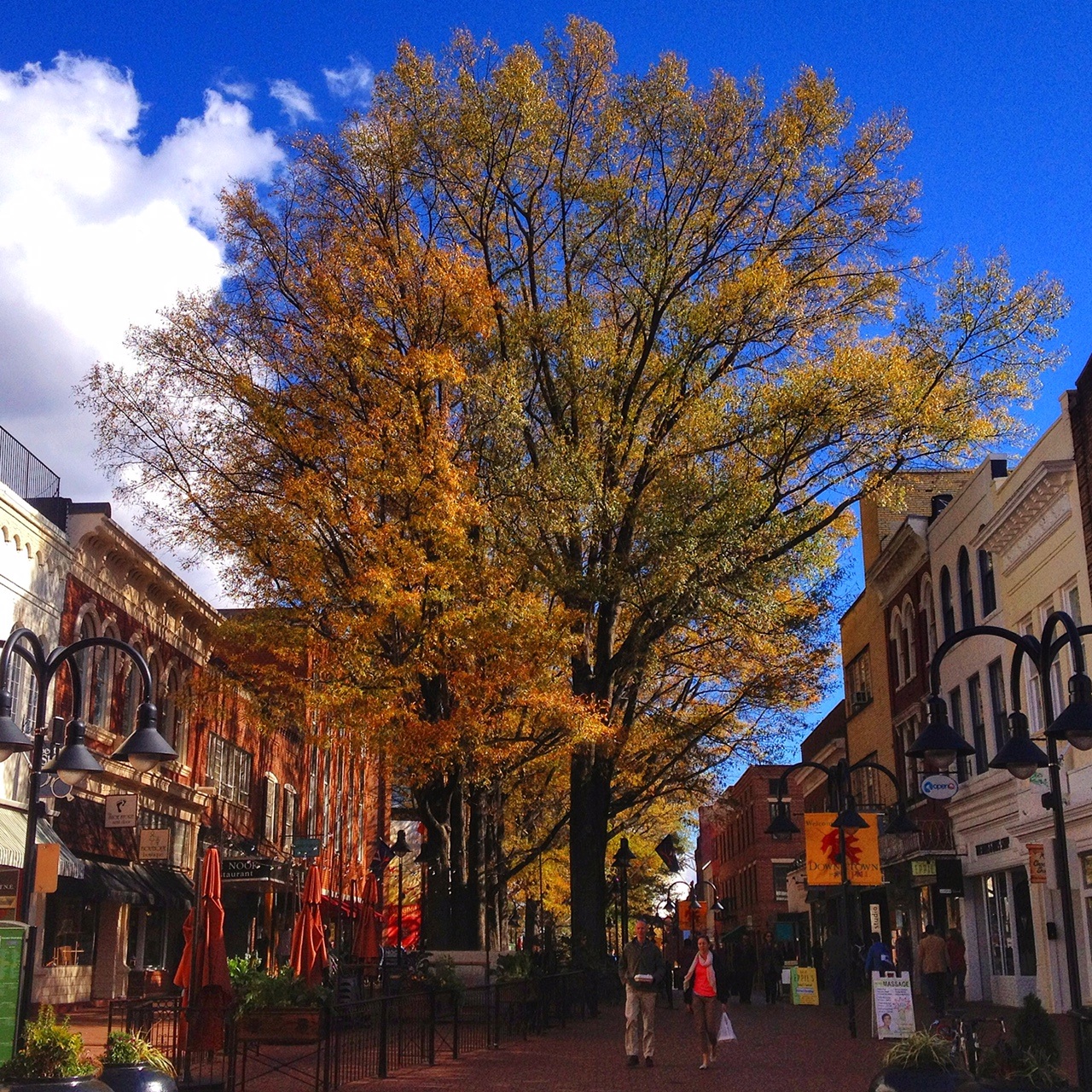 Historic Charlottesville Walking Tour