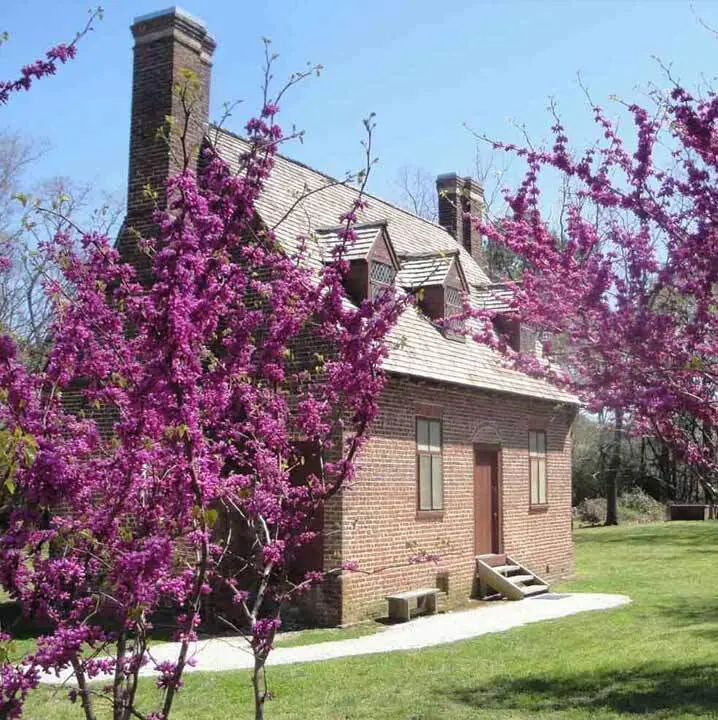 Lynnhaven House Preservation Tour