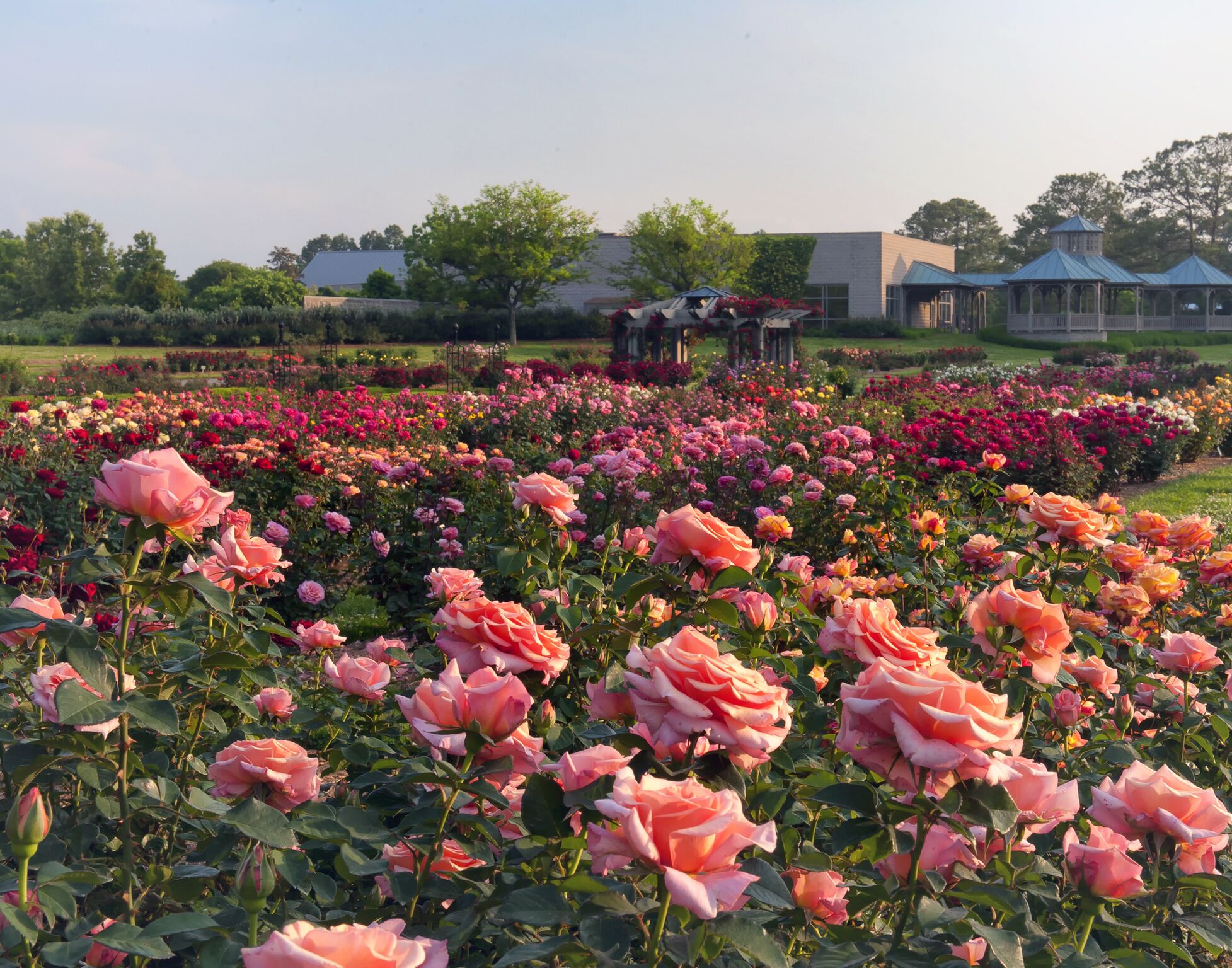 Norfolk Botanical Garden