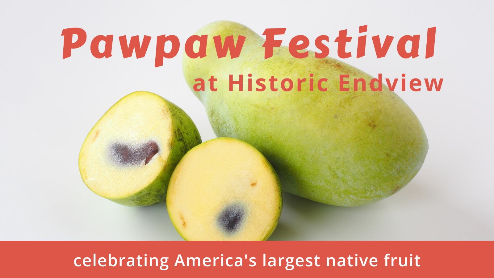 Pawpaw Festival at Historic Endview