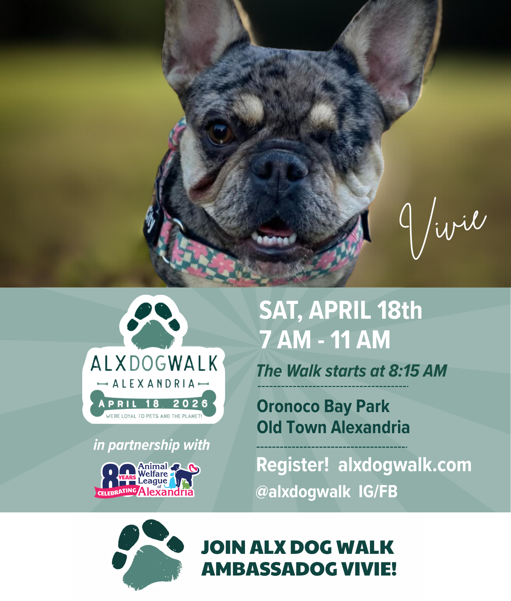 ALX Dog Walk & Sustainability Festival
