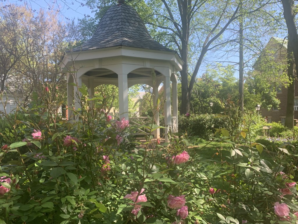 Carlyle House Family Fun Day - Garden Gathering