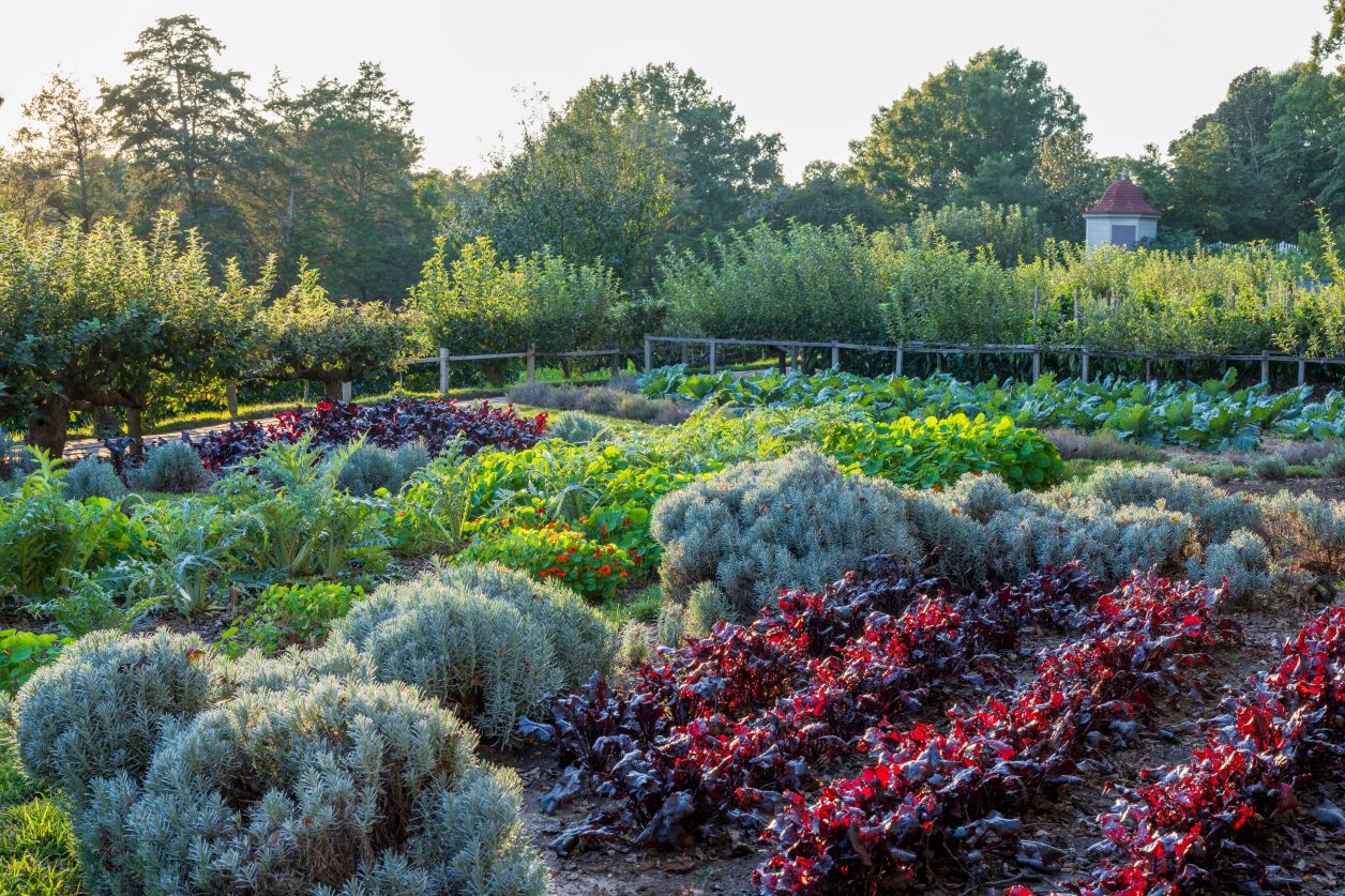 Fall Plant and Garden Sale at Mount Vernon