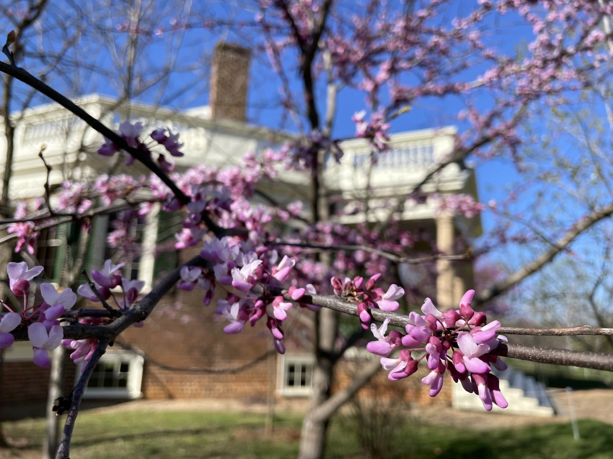 Historic Garden Week in Lynchburg