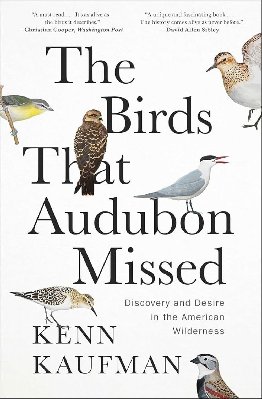 The Birds that Audubon Missed