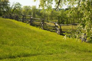 Discover Your Roots: A Beginner’s Guide to Genealogy