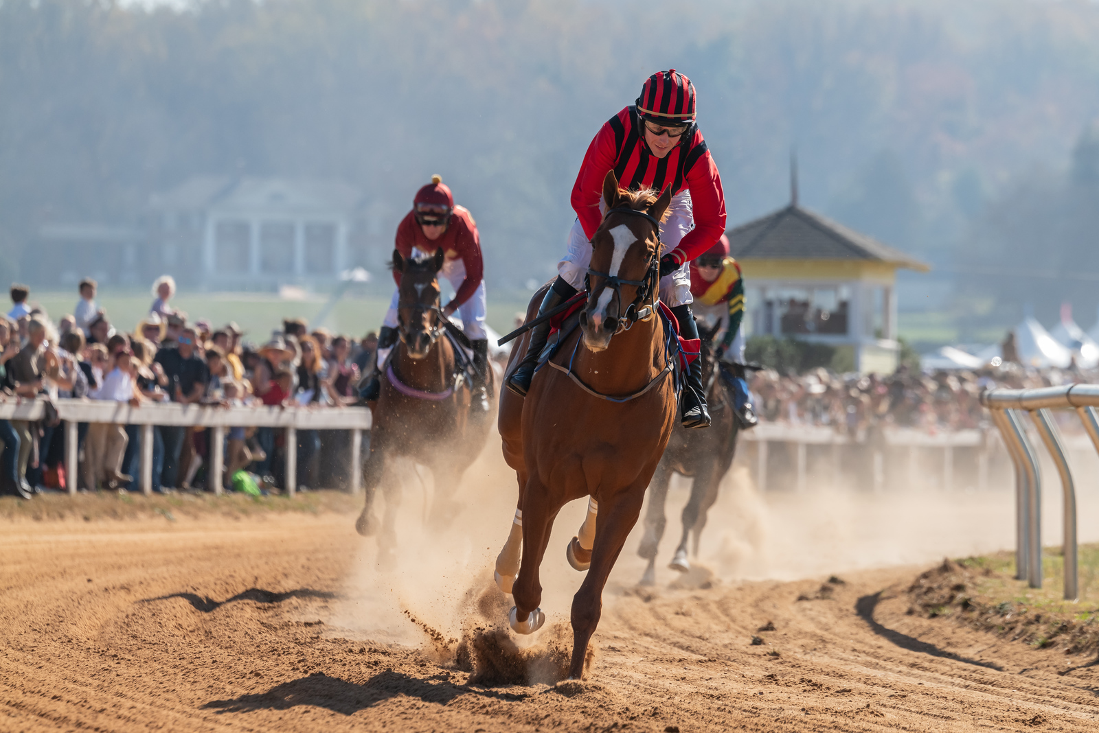 Montpelier Hunt Races