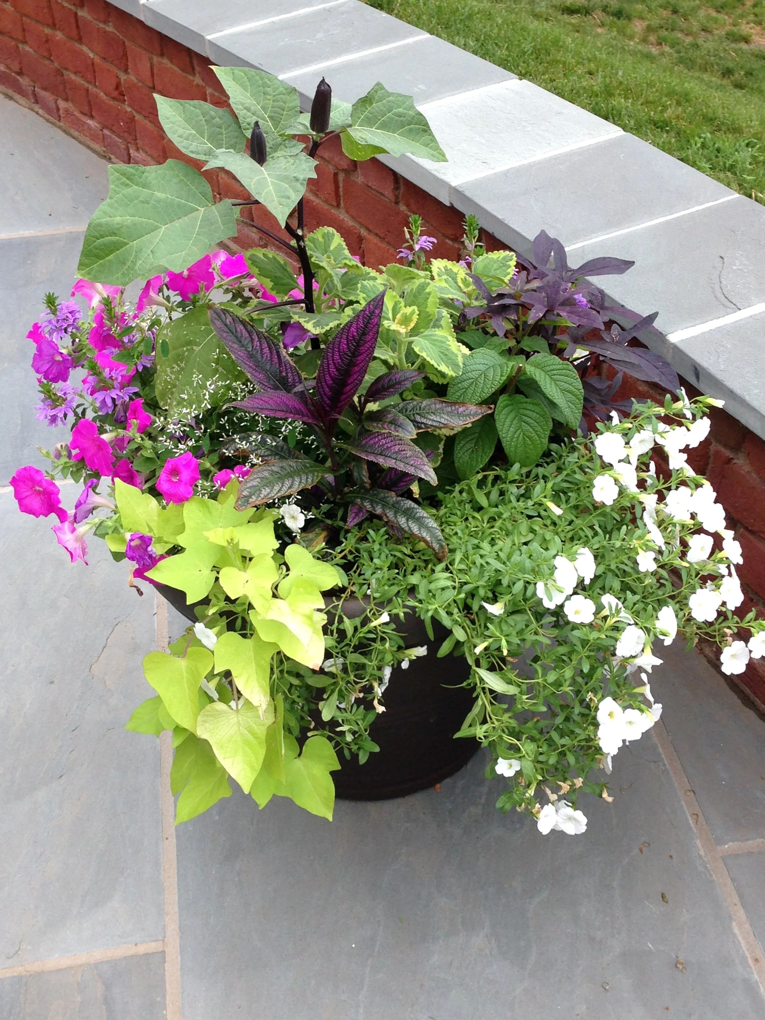 Mixed Container Workshop at Mount Vernon