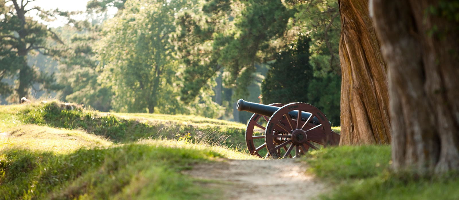 A Common Cause To All 2024 Virginia American Revolution 250   Slide Cannon1 